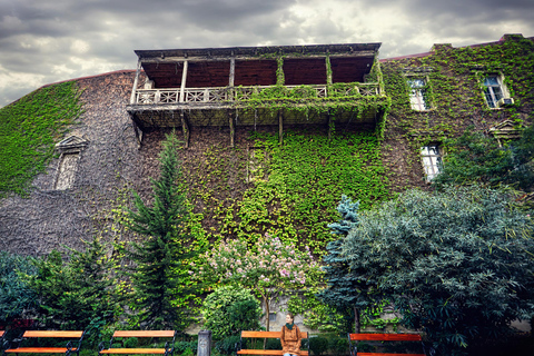 Tiflis: Rundgang zu den wichtigsten Sehenswürdigkeiten mit Essen & WeinPrivate Tour