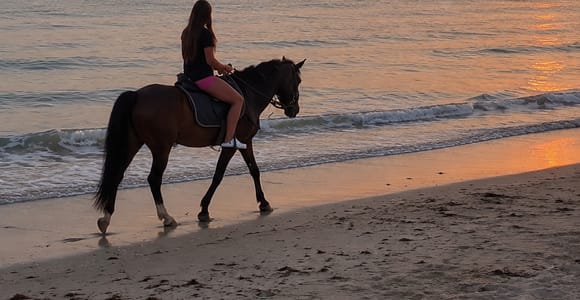 Monastir: Sunset Horseback Riding Tour on a Sandy Beach
