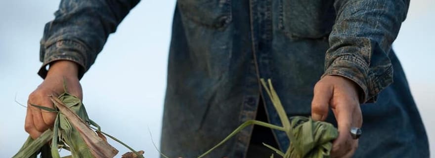 Oahu : visite de la distillerie et dégustation