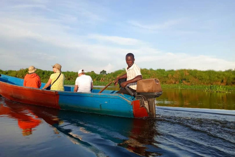 Entebbe: tour in barca alla ricerca del becco a scarpa nella palude di Mabamba