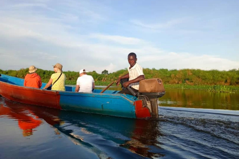 Entebbe: tour in barca alla ricerca del becco a scarpa nella palude di Mabamba