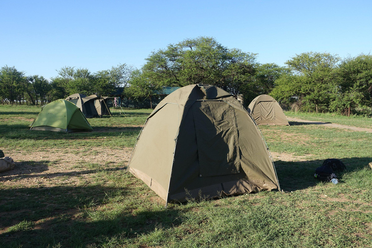 4-Day Shared Safari Experience Tanzania Northern Route