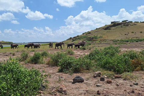 Nairobi: Amboseli National Park Tagestour mit PirschfahrtenSolo Nairobi: Amboseli National Park Tagestour