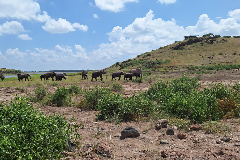 Nairobi: Amboseli National Park Tagestour mit PirschfahrtenSolo Nairobi: Amboseli National Park Tagestour