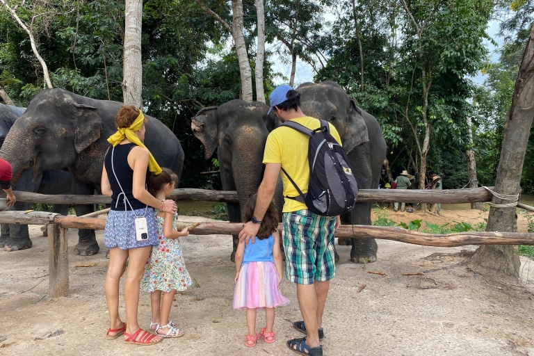 Elephant Forest & Floating Village Private Tour Elephant Sanctuary & Floating Village