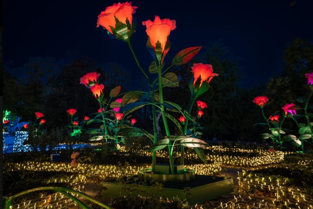 皇家花园灯光：维拉努夫宫夜间活动