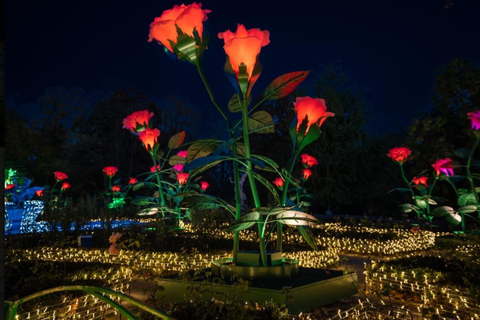 Royal Garden of Light: Wilanow Palace by Night tour our in Portuguese, French, Italian.