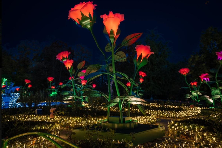 皇家花园灯光：维拉努夫宫夜间活动英语、西班牙语、德语、俄语、波兰语导览