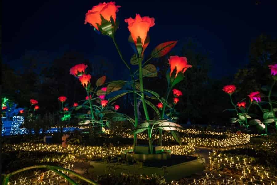 Königlicher Garten des Lichts: Nächtliche Tour durch den Palast Wilanów. Foto: GetYourGuide