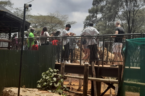 Nairobi: Nationalpark, Elefantenwaisenhaus und Giraffe Tour