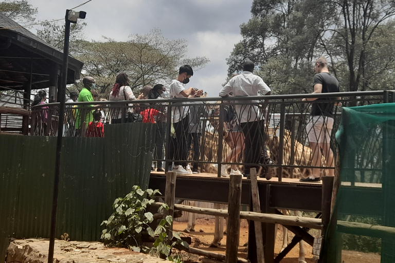 Nairobi: Parco nazionale, orfanotrofio degli elefanti e tour delle giraffe