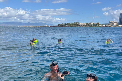 وايكيكي: تجربة الغوص مع السلاحف