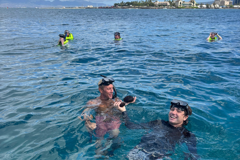 وايكيكي: تجربة الغوص مع السلاحف