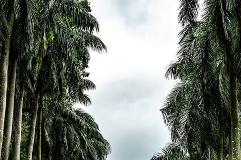 Colombo to Kandy Day Tour | True Story of the Last Kingdom