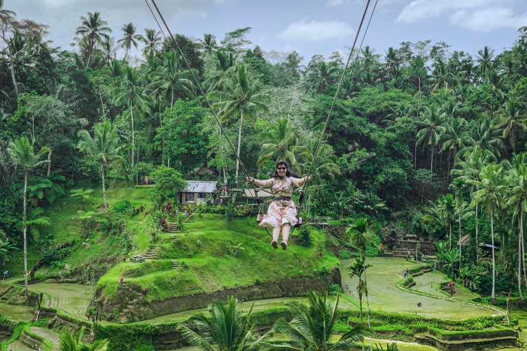 Ubud: Monkey Forest, Rice Terrace, Temple & Waterfall Tour Private Full-Day Tour including Entry Ticket Fees