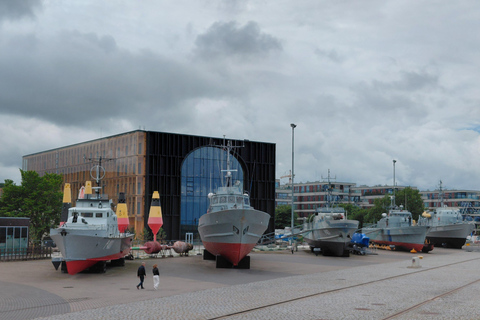 From Tallinn: Private tour around Tallinn city with minivan