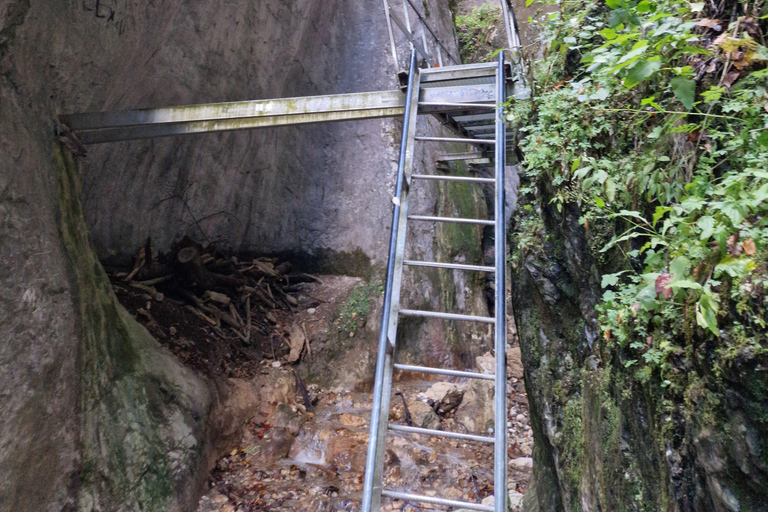7 Ladders Canyon Hike & Optional Zip-line | From Brașov