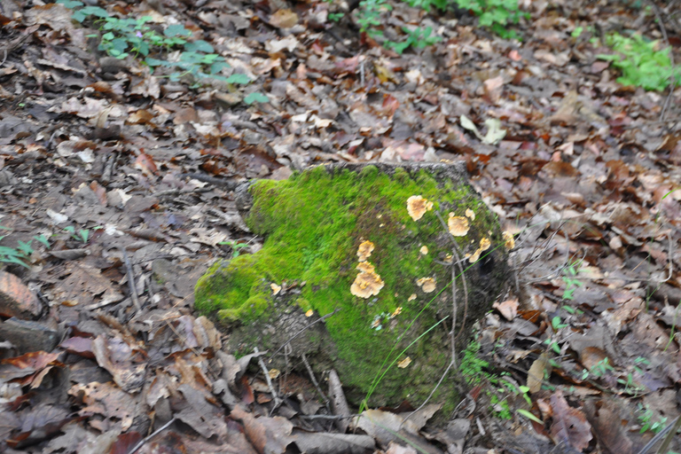 Senderismo en el parque Nacional Benito Juárez