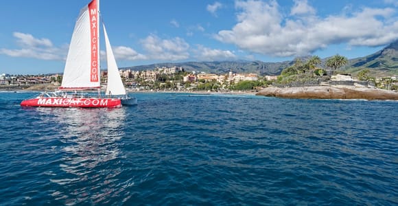 Costa Adeje: Whale and Dolphin Cruise with Food and Pickup