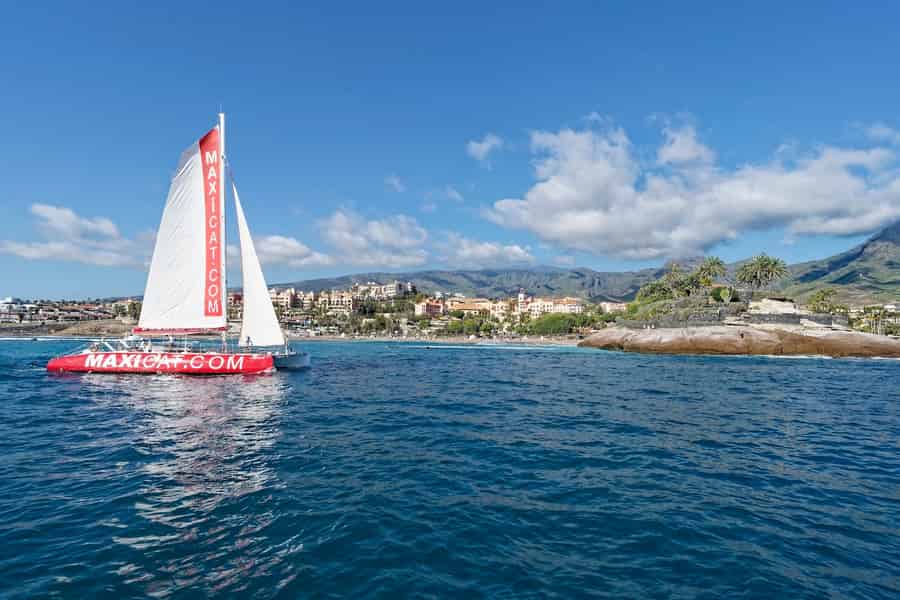 Costa Adeje: Wal- und Delfin-Bootsfahrt mit Essen und Abholung. Foto: GetYourGuide