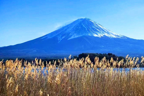 جبل فوجي وبحيرة كاواجوتشيكو روبواي وجولة أوشينو هاكاي ليوم واحدجولة جبل فوجي من محطة JR طوكيو المغا