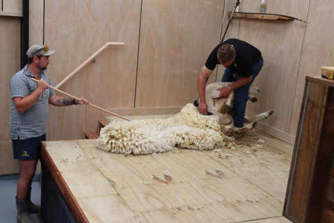 Te Anau: Farm Experience, Milford Sound Cruise &amp; Coach