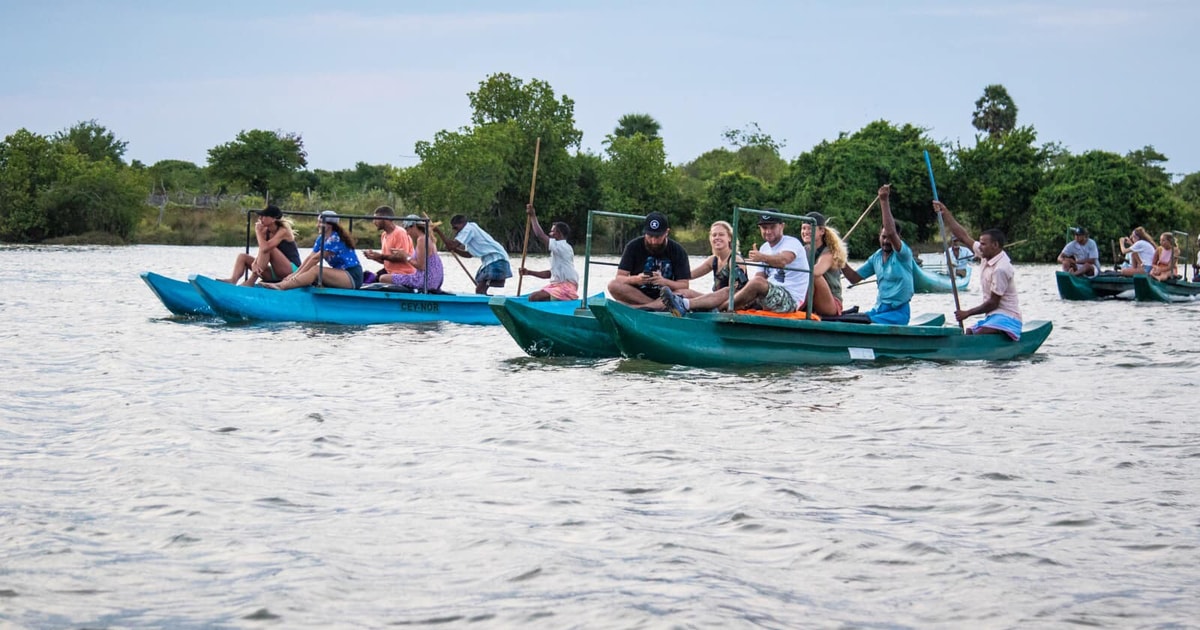 Mangrove Lagoon Safari | GetYourGuide