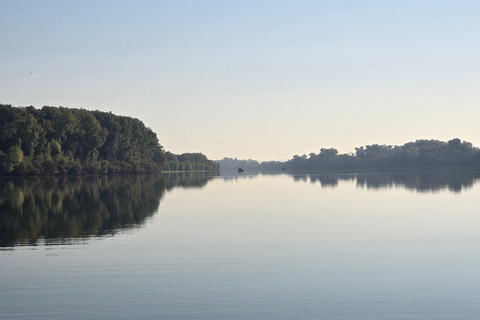 Private pleasure boat experience on the Rhine to the Loreley & visit to a castle Private recreational boat experience on the Rhine to the Loreley & visit to a castle