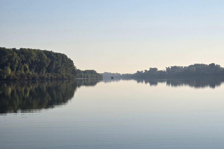 Private pleasure boat experience on the Rhine to the Loreley & visit to a castle Private recreational boat experience on the Rhine to the Loreley & visit to a castle