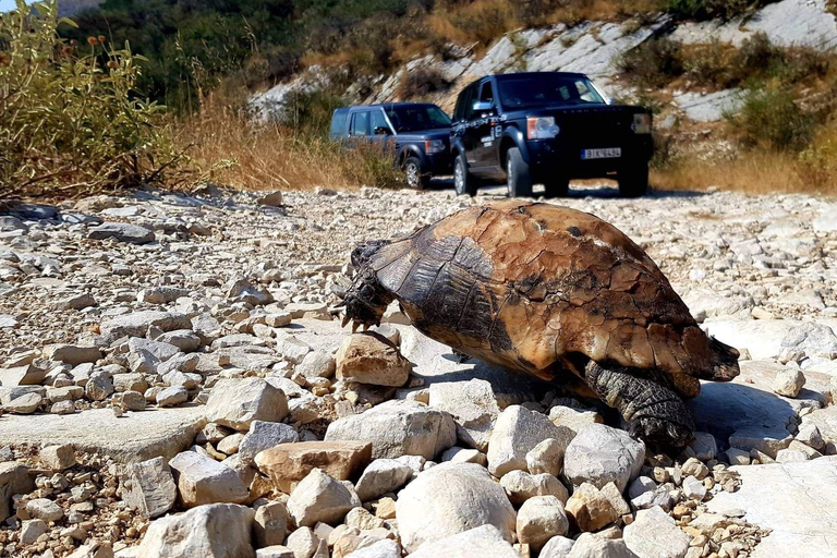 Tour particular pelo norte de Corfu: Aldeias e Património