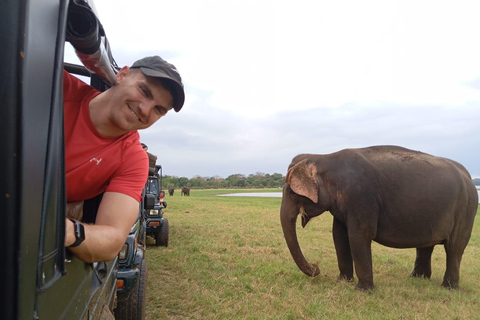 Minneriya: Safari de jipe no Parque Nacional de Minneriya com serviço de busca