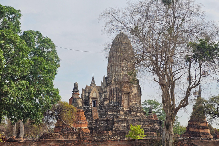 Ayutthaya: Stupa Suppers Food Tour with 15+ Tastings
