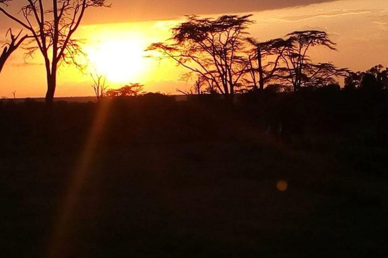 Nairobi: 3-Day honeymoon safari to Amboseli National Park Overnight Private to Amboseli National Park