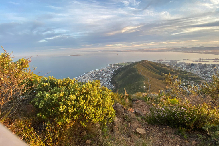 Excursión a Lion&#039;s Head: Ciudad del Cabo - Excursión al amanecer o al atardecerTour privado - Amanecer o Atardecer con servicio de recogida y regreso