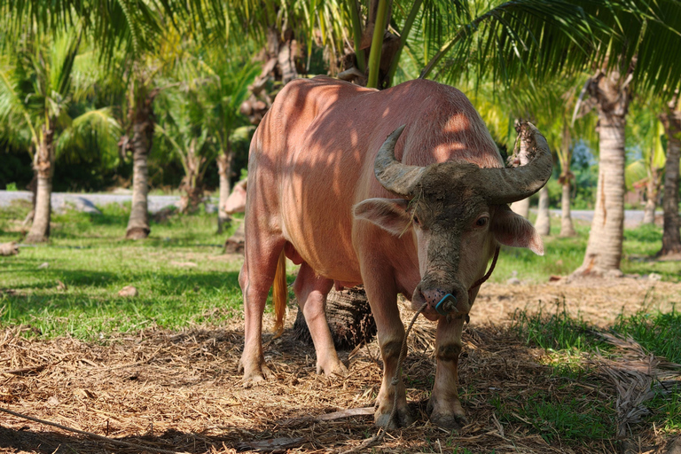 Phuket: 6 Authentic Thai Cultural Hands-On Experiences