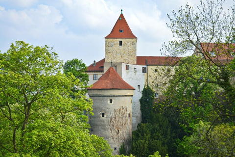 Praag: ticket met voorrangstoegang voor het Praagse kasteel met audiogids