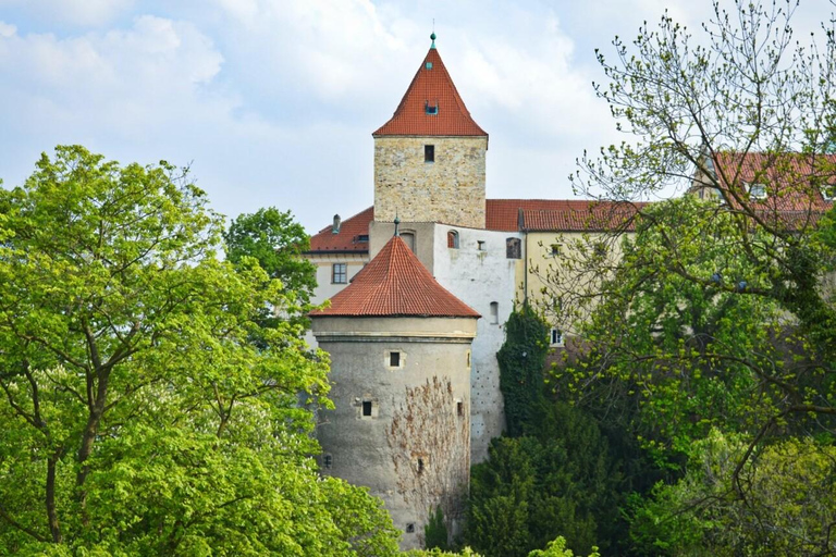 Praag: ticket met voorrangstoegang voor het Praagse kasteel met audiogids