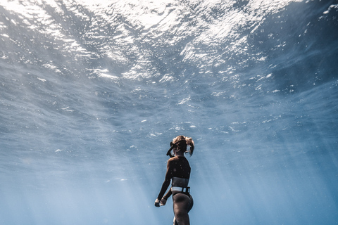 Oahu: Cage-Free Shark Diving Adventure Oahu: Cage-Free Shark Diving Adventure with Photos