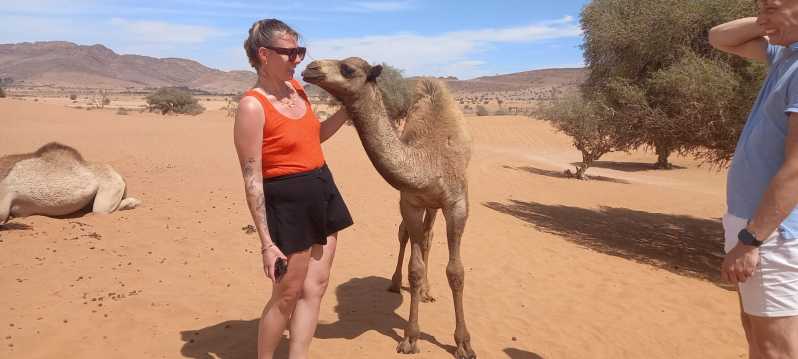 4WD Tour to discover Small Sahara including Berber Lunch