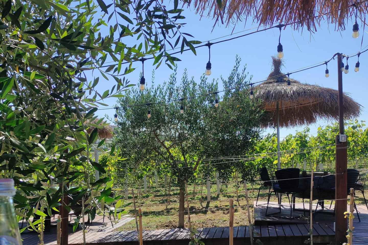 두러스: 역사와 와인이 만나는 곳