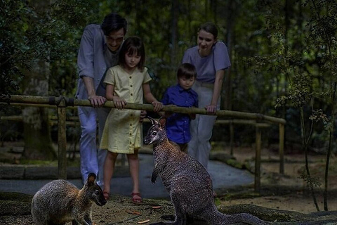 Night Safari Entry Ticket with Show