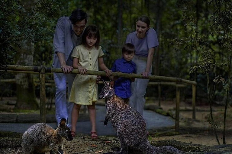 Night Safari Entry Ticket with Show