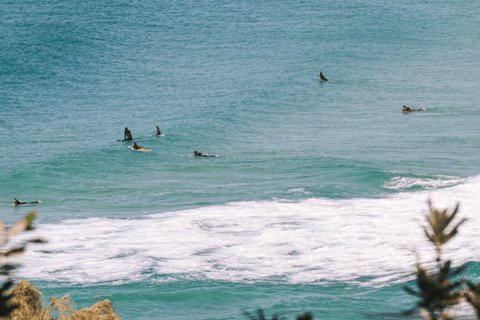 Eumundi Markets & Noosa Hinterland Day Tour from Brisbane