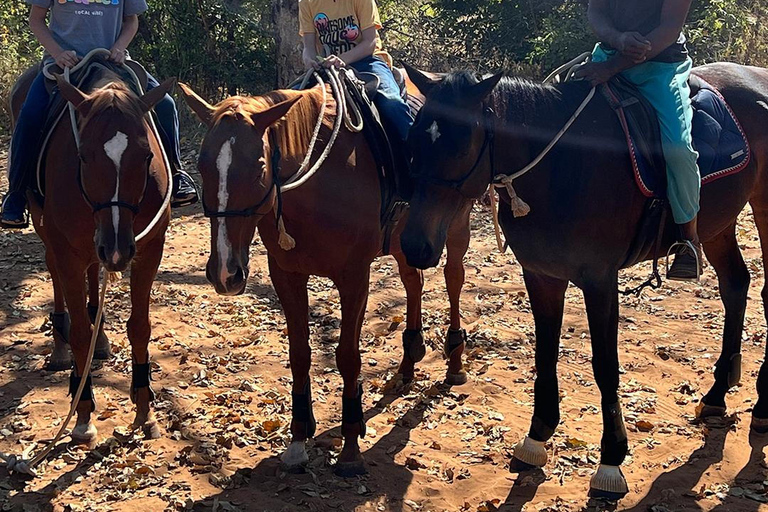 Mpisi Village Horseback Safari: Ride to a Living Community Horseback daytrip with Language Guide