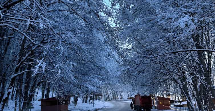 Baku: Guba, Candy Cane, and Shahdag Mountain Resort Trip photo 2