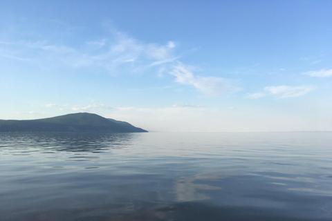 Guidad kryssning för att upptäcka Orleans Island och Quebec City