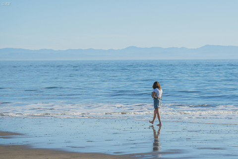 Redwood Forest Santa Cruz Harbor Day Trip from San Francisco