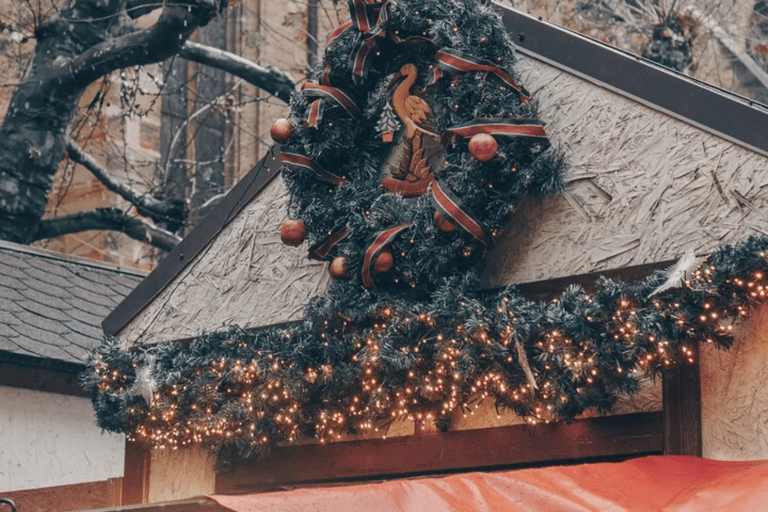 Colmar : visite à pied du marché de Noël et des principaux sites de la ville