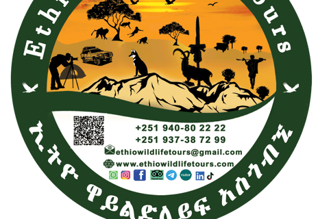 Etiopia Najlepsze 16-dniowe wycieczki, trekking w góry, wulkan, plemiona16 dni góry Simien, depresja Danakil, plemię Omo Vallely