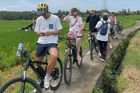 Ubud: Downhill-cykeltur med risfält, vulkan och måltidPrivat grupp